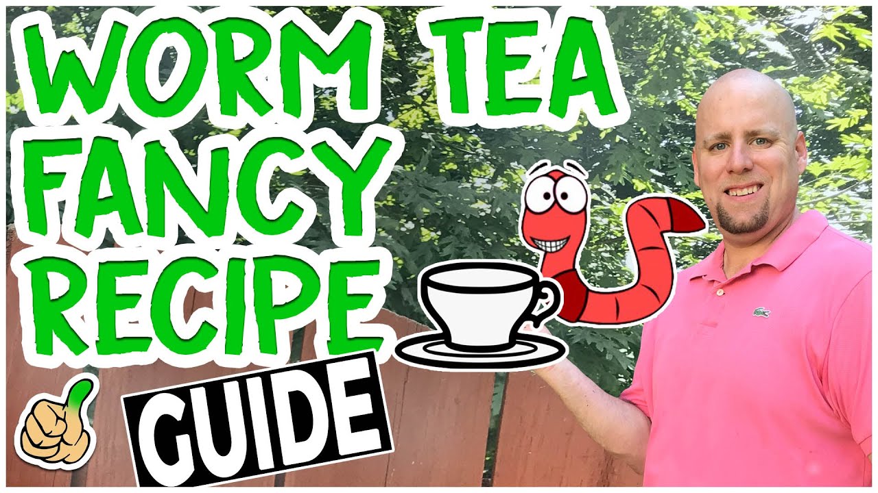 How to Make Worm Tea | Boost Plant Growth - 2 Simple Ways