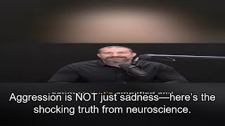 Aggression is NOT sadness—neuroscience debunks this myth