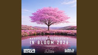 The Void (In Bloom 2026) (Mixed)