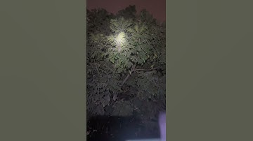 Tes thực tế camera nhiệt,cú đêm săn mồi#cameranhiet#camnhiet#sinhtồntrongrừng #slingshots