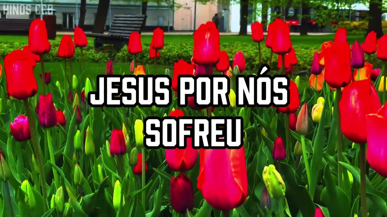 HINO 416 CCB - No Calvário - Hino Cantado COM LETRA