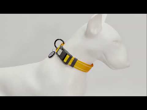 Нашийник для собак нейлоновий WAUDOG Nylon Mono, світловідбивний, пластиковий фастекс, чорний, видео 1