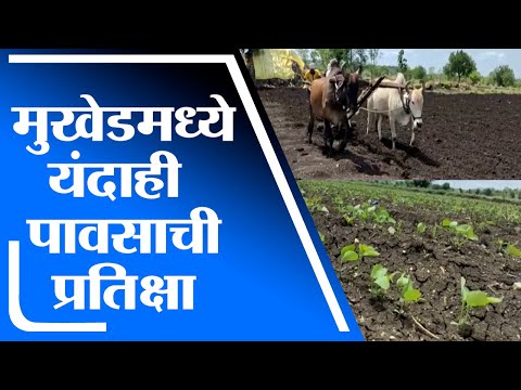 Nanded | नांदेडच्या मुखेडमध्ये यंदाही पावसाची प्रतिक्षा, पिकांचे मोठे नुकसान - tv9