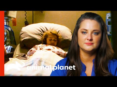 Abrin Toxin Poisons Young Girl | Monsters Inside Me