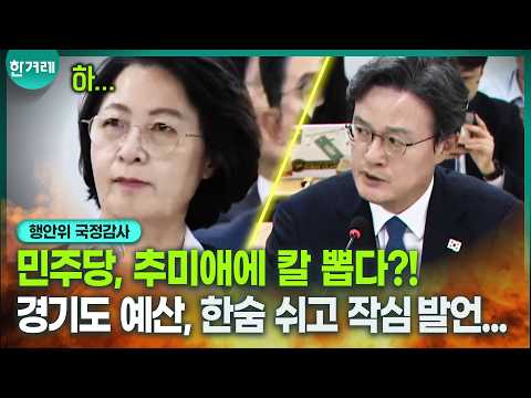 Public Administration and Security Committee National Audit: Choo Mi-ae, Chae Hyun-il