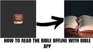 How to o read the Bible offline with bibel app screenshot 2