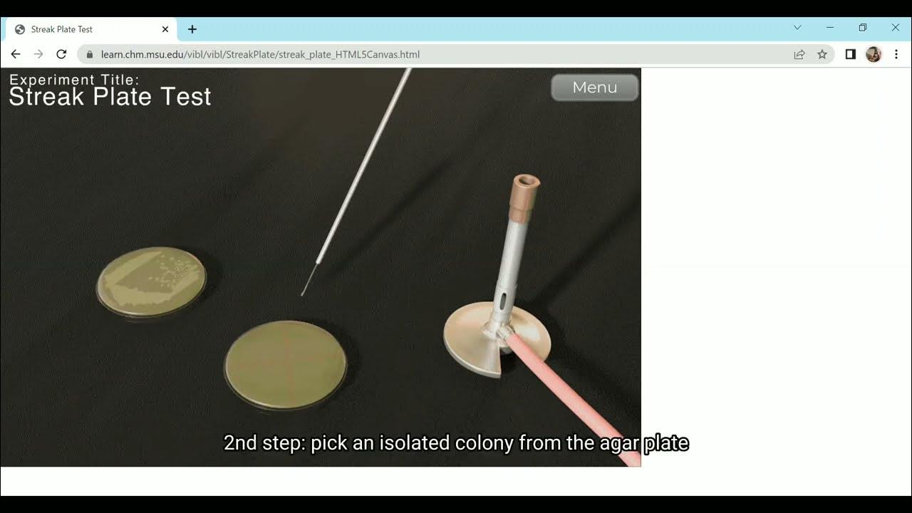 Streak Plate Test and its Procedures Virtual Interactive Laboratory