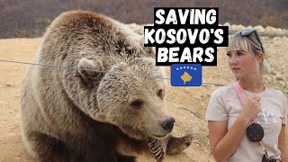 INCREDIBLE Bear Sanctuary PRISTINA! KOSOVO is SAVING Europe's BEARS!! Must See!