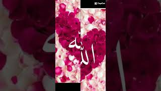 Allah love ❤️ # #islami  video