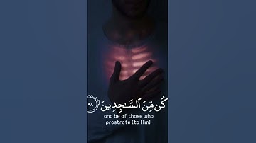 آيات بينات من الذكر الحكيم ♥️