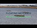 Wetlands and Environmental Impact Quiz