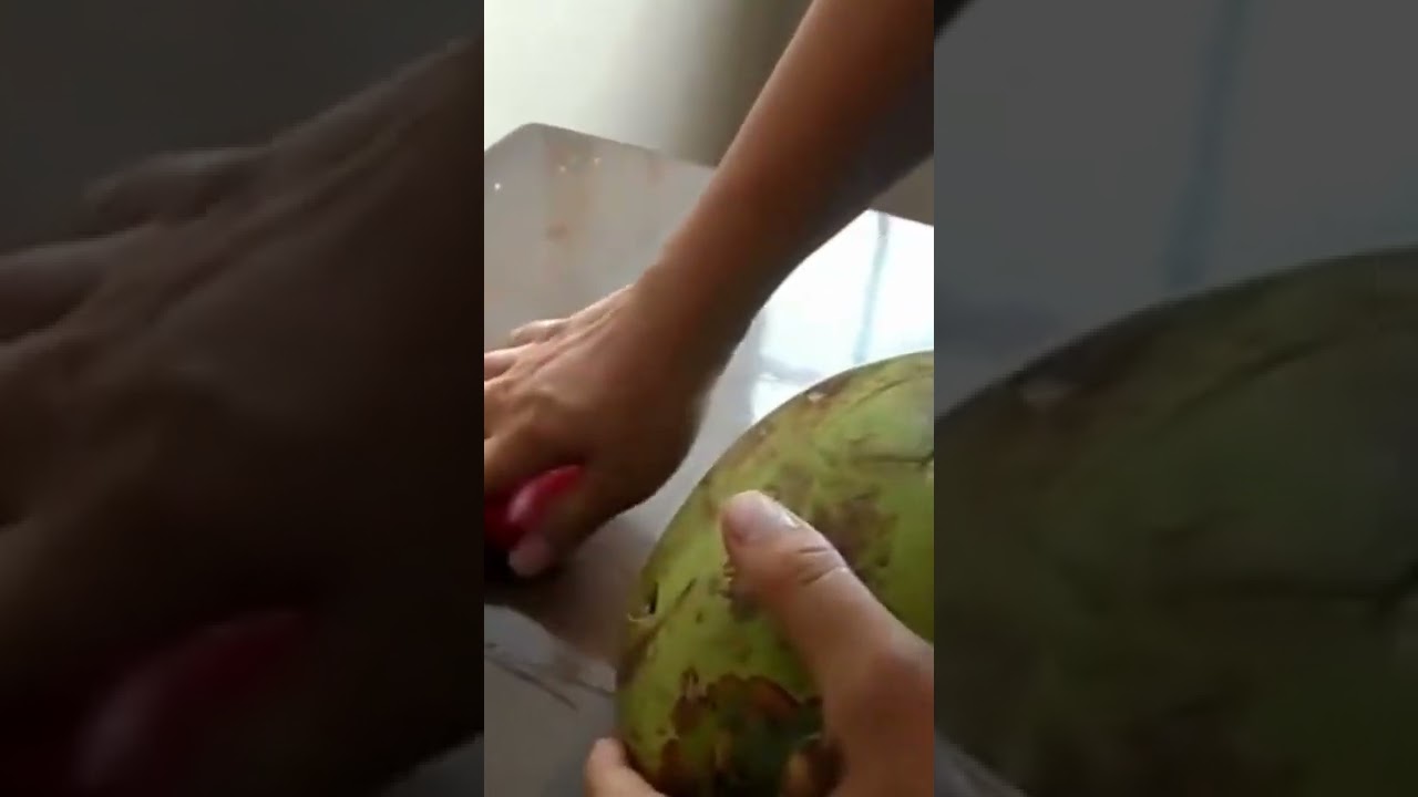 2022 New Amazon Product Coconut Opener Tool 