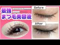 【最強まつ毛美容液】3ヶ月でまつ毛、爆伸び！塗り方と注意点も徹底解説♡｜まつ育成功！デカ目【アイメイク】