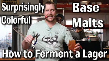 Base Malts that will Darken your Beer | Lager Fermentation Schedule | Vienna Lager