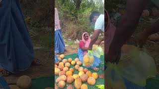 மாற்றுப்பயிர்தான் கை கொடுத்தது✨#shorts #trending #farming #agri