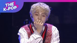 HA SUNG WOON, BIRD [THE SHOW 190305]