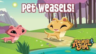 Pet Weasels Are Now In Jamaa Animal Jam Play Wild