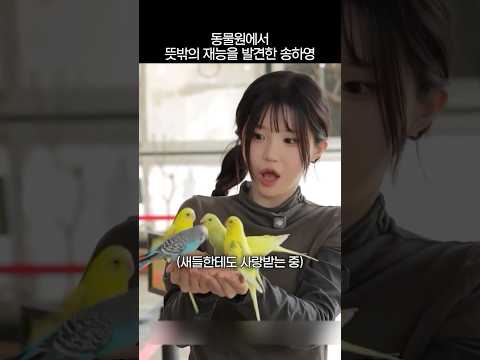 아이돌 아니면 사육사 했을 거라는 송하영의 재능-썸네일