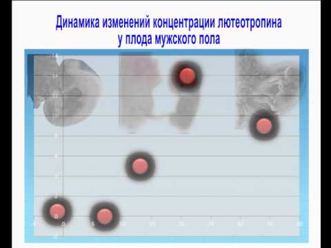 Бейне: Эстрон неліктен маңызды?