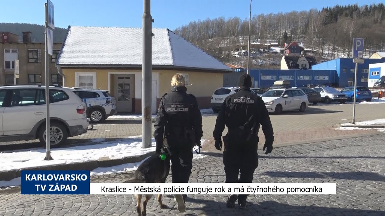 Kraslice: Městská policie funguje rok a má čtyřnohého pomocníka (TV Západ)