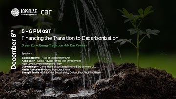 Financing the Transition to Decarbonization