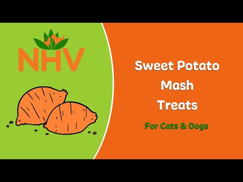 DIY Sweet Potato Mash Recipe for Pets