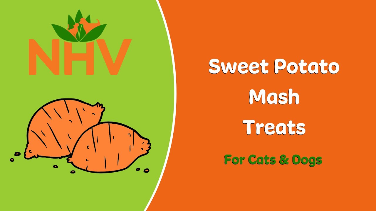 DIY Sweet Potato Mash Recipe for Pets YouTube