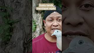 Apabila kita bermimpi menangkap perkutut...