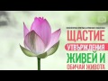 Утвърждения за Щастие: Животът ми е празник и сега го празнувам. Почувствай щастието!