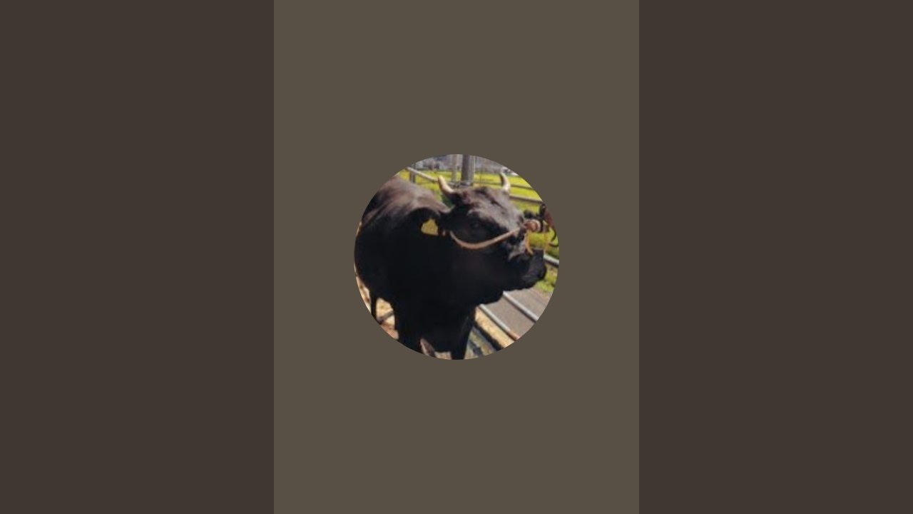 テスト配信です。