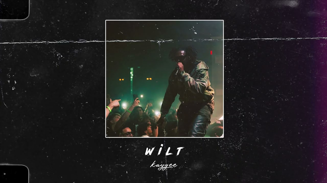 [FREE] Sosocamo Type Beat 2025 - "wilt" | prod. prodbykg