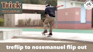 【trick challenge #1】トレフリップからのノーズマニー！toフリップアウト！果たしてメイクなるかtreflip nosemanuel flip out@toshikisb7469