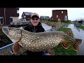 BROCHET GEANT 143CM - RECORD EXTREME ( monster pike )