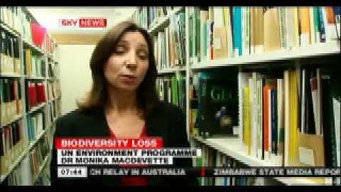 Extinction- Animal & Sea Life Affected by Climate and Habitat Destruction