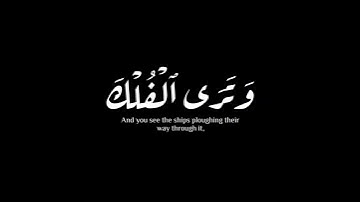 (وهو الذي سخر البحر ) | سورة النحل | حمزة معاذ #krumat #كرومات #شاشه_سوداء #quran