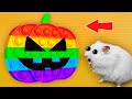 🎃 POP IT - Halloween Hamster Maze with Traps ☠️[OBSTACLE COURSE]