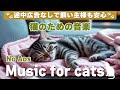 Relaxing Music For Cats No Ads 猫が落ち着く音楽 広告なしで安心 Cat Music Cat Relaxing Music Vol 3 Relaxing Music For Cats No Ads 猫が落ち着く音楽 広告なしで安心 Cat Music Cat Relaxing Music Vol 3