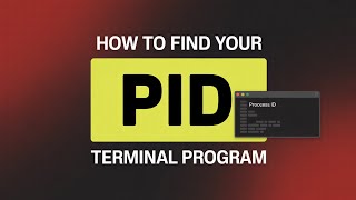 How to Find the Process ID PID of a Running Terminal Program in Linux/Ubuntu [GUIDE]