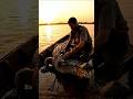 Crocodile POV Reveals a Lost Temple Beneath the Nile… With Skeletons 😳🐊#Shorts