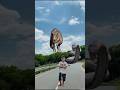 Big Anaconda vs dinosaur T-Rex fight scene#dinosaur#anaconda#jurassicworld#shorts#youtubeshorts