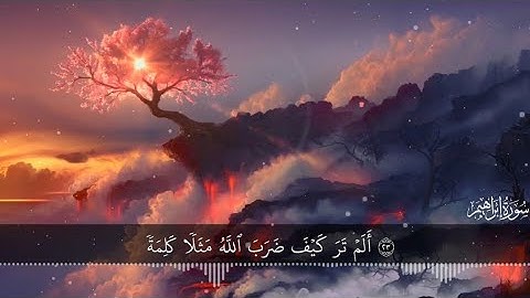 أَلَمۡ تَرَ كَيۡفَ ضَرَبَ ٱللَّهُ مَثَلٗا كَلِمَةٗ طَيِّبَةٗ | المنشاوي | سورة إبراهيم