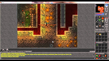 Tibia - Mad Mage And Servants