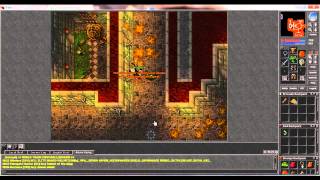 Tibia - Mad Mage And Servants