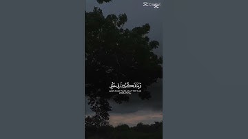 #تلاوة_خاشعة #تلاوة_هادئة #المصحف #اكسبلور #تيك_توك #الرحمن #القزابري