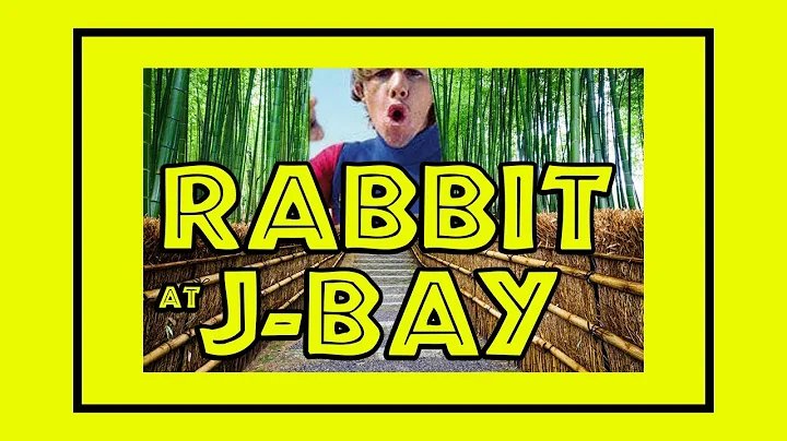 WAYNE RABBIT BARTHOLOMEW SURFING JEFFREY'S BAY SOU...