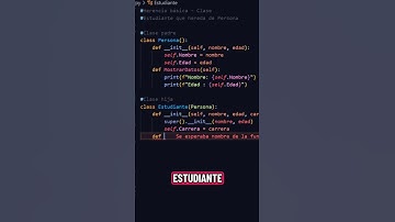 Día 24 - La herencia en Python #programacion #python #codificacion #programming #algoritmo