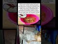 Toddler scooped floating seaweed into pink bucket. Parents watched, smiling.