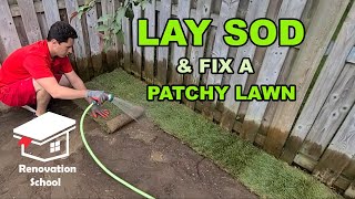 Lay Sod & transform a patchy lawn Super Fast. by Renovation school 706 views 1 year ago 11 minutes, 27 seconds