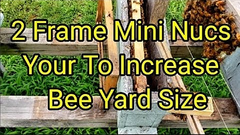 2 Frame Mini Nucs To Increase Your Bee Yard Size
