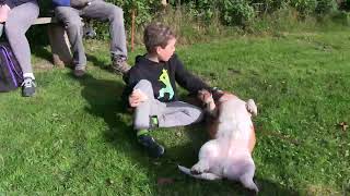 The Basset Hound Walkers at Ashmore, Shaftesbury